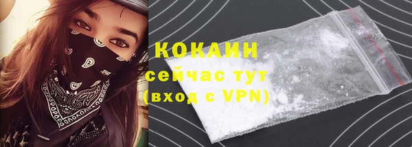 spice Алзамай
