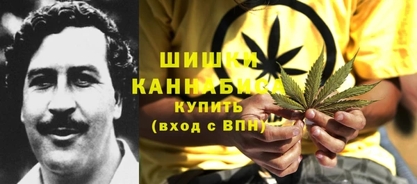 Альфа ПВП Алексин