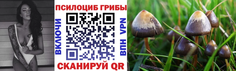 даркнет сайт  Луза  Галлюциногенные грибы Magic Shrooms 